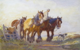 Konie robocze na drodze